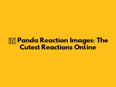 🐼 Panda Reaction Images: The Cutest Reactions Online