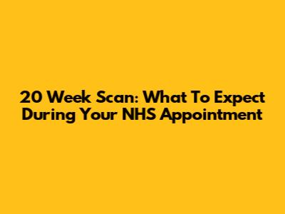 20 Week Scan: What To Expect During Your NHS Appointment
