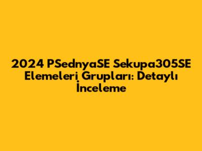 2024 PSednyaSE Sekupa305SE Elemeleri Grupları: Detaylı İnceleme