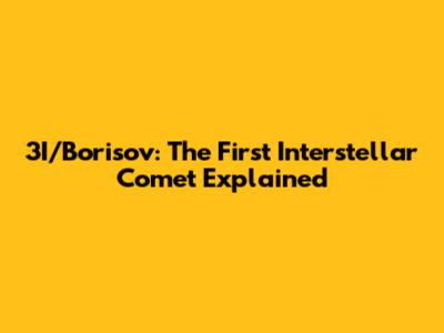 3I/Borisov: The First Interstellar Comet Explained