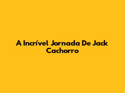 A Incrível Jornada De Jack Cachorro