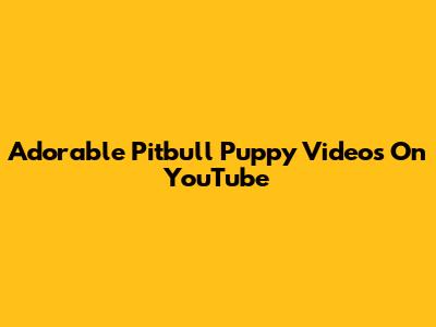 Adorable Pitbull Puppy Videos On YouTube