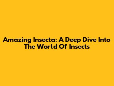 Amazing Insecta: A Deep Dive Into The World Of Insects