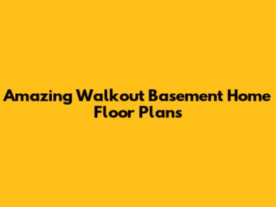 Amazing Walkout Basement Home Floor Plans