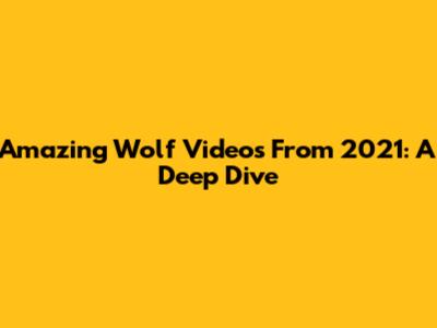 Amazing Wolf Videos From 2021: A Deep Dive