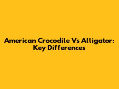American Crocodile Vs Alligator: Key Differences