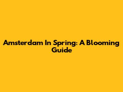 Amsterdam In Spring: A Blooming Guide