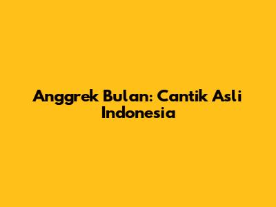 Anggrek Bulan: Cantik Asli Indonesia