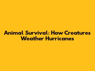 Animal Survival: How Creatures Weather Hurricanes