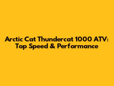 Arctic Cat Thundercat 1000 ATV: Top Speed & Performance