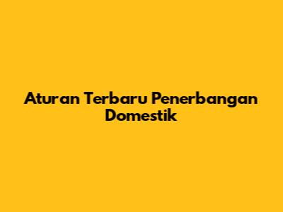 Aturan Terbaru Penerbangan Domestik