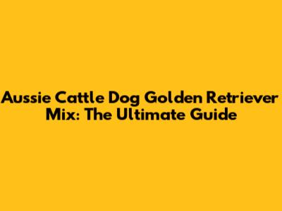 Aussie Cattle Dog Golden Retriever Mix: The Ultimate Guide