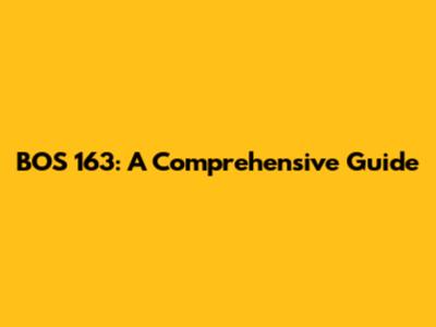 BOS 163: A Comprehensive Guide