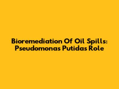 Bioremediation Of Oil Spills: Pseudomonas Putida's Role