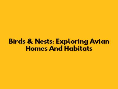 Birds & Nests: Exploring Avian Homes And Habitats