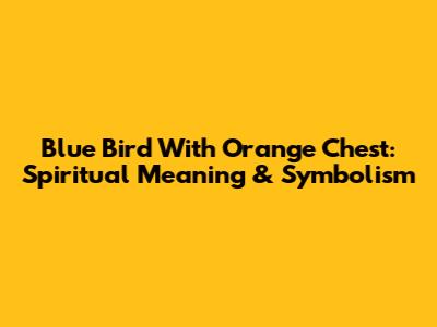 Blue Bird With Orange Chest: Spiritual Meaning & Symbolism
