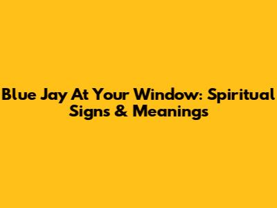 Blue Jay At Your Window: Spiritual Signs & Meanings