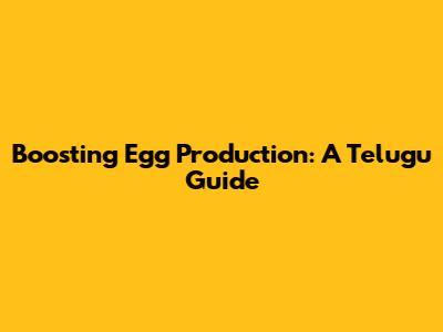 Boosting Egg Production: A Telugu Guide