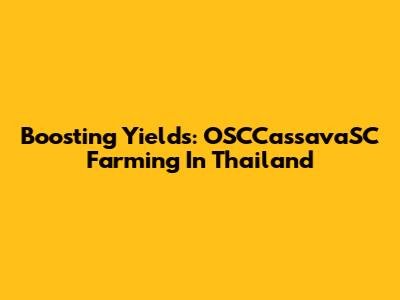 Boosting Yields: OSCCassavaSC Farming In Thailand
