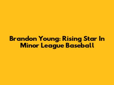 Brandon Young: Rising Star In Minor League Baseball