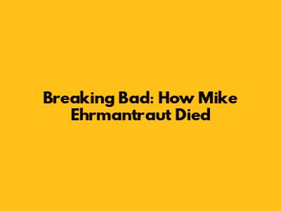 Breaking Bad: How Mike Ehrmantraut Died