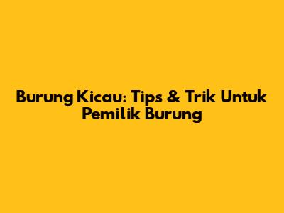 Burung Kicau: Tips & Trik Untuk Pemilik Burung