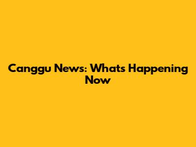 Canggu News: What's Happening Now