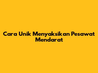 Cara Unik Menyaksikan Pesawat Mendarat