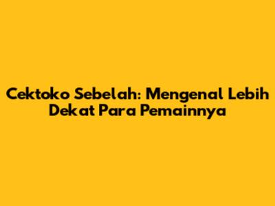 Cektoko Sebelah: Mengenal Lebih Dekat Para Pemainnya