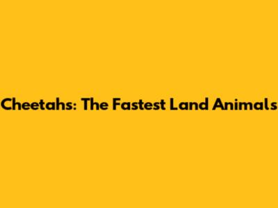 Cheetahs: The Fastest Land Animals