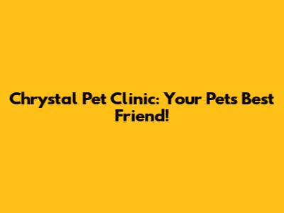 Chrystal Pet Clinic: Your Pet's Best Friend!