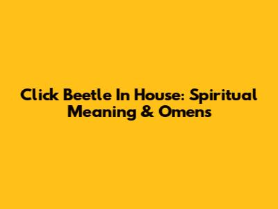 Click Beetle In House: Spiritual Meaning & Omens