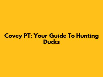 Covey PT: Your Guide To Hunting Ducks