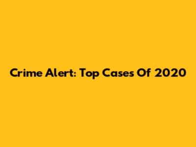 Crime Alert: Top Cases Of 2020