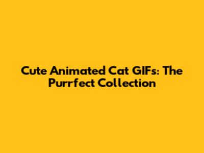 Cute Animated Cat GIFs: The Purrfect Collection