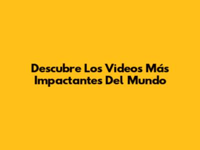 Descubre Los Videos Más Impactantes Del Mundo