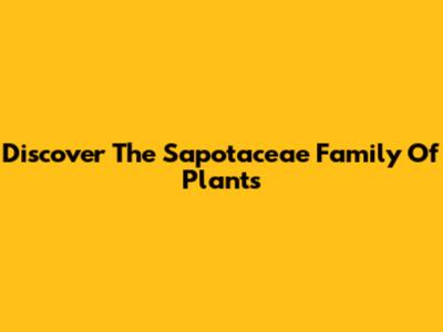 Discover The Sapotaceae Family Of Plants