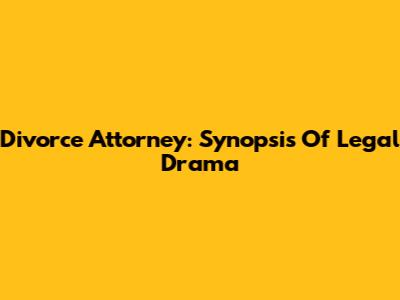 Divorce Attorney: Synopsis Of Legal Drama