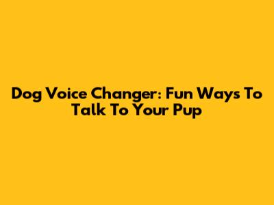 Dog Voice Changer: Fun Ways To Talk To Your Pup