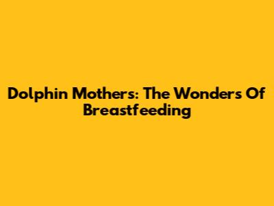 Dolphin Mothers: The Wonders Of Breastfeeding