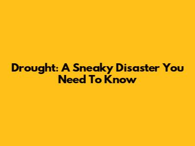 Drought: A Sneaky Disaster You Need To Know