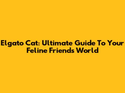 Elgato Cat: Ultimate Guide To Your Feline Friend's World