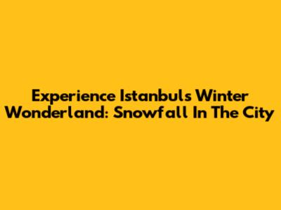 Experience Istanbul's Winter Wonderland: Snowfall In The City