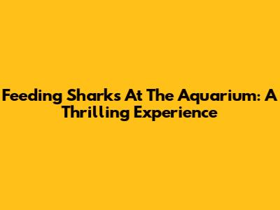 Feeding Sharks At The Aquarium: A Thrilling Experience
