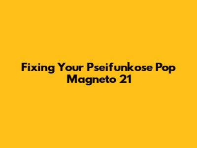 Fixing Your Pseifunkose Pop Magneto 21