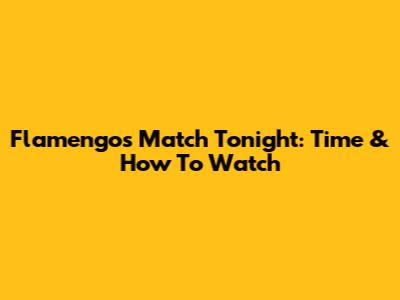Flamengo's Match Tonight: Time & How To Watch
