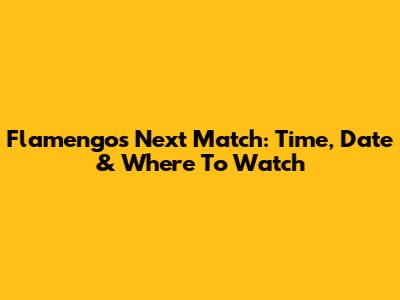 Flamengo's Next Match: Time, Date & Where To Watch