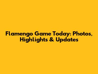 Flamengo Game Today: Photos, Highlights & Updates