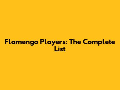Flamengo Players: The Complete List