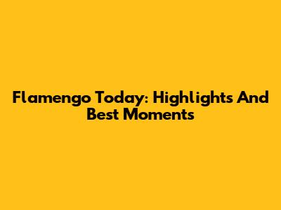 Flamengo Today: Highlights And Best Moments
